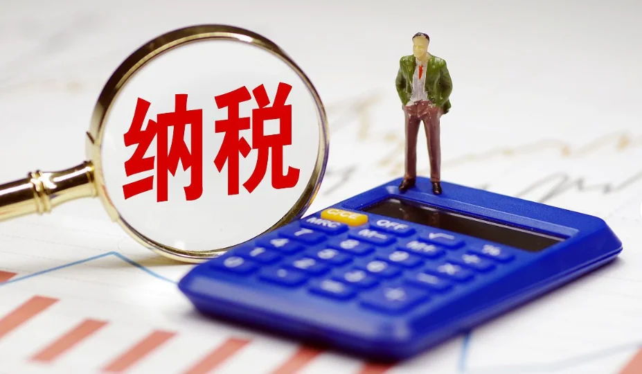《一人公司的财税管理完全指南》